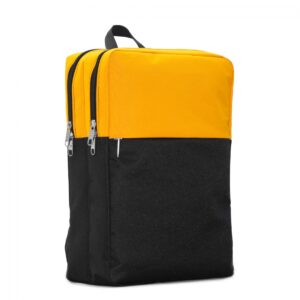 Two Color Design Laptop Backpack